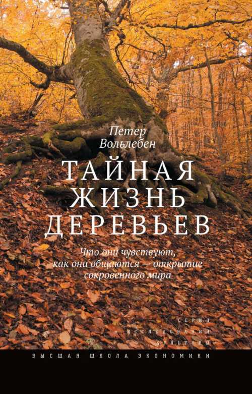 Петер Вольлебен «Тайная жизнь деревьев»