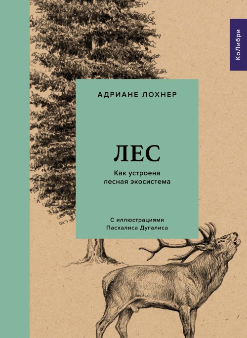 Адриане Лохнер «Лес. Как устроена лесная экосистема»