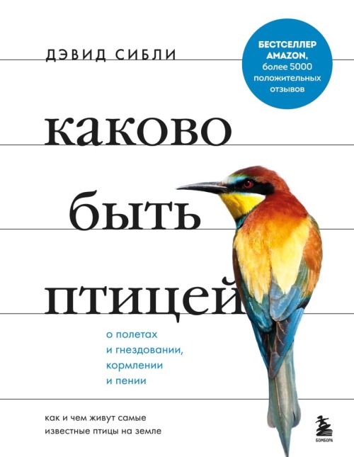 Дэвид Аллен Сибли «Каково быть птицей» 