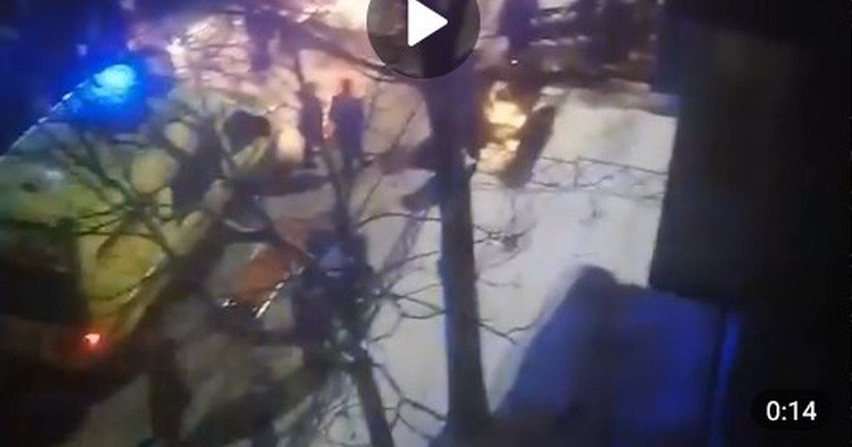 Спасатель из Камчатского края 20 минут откачивал собачку после пожара