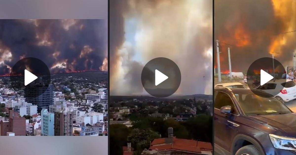 Ничего себе кофе сварил: Аргентину охватили лесные пожары