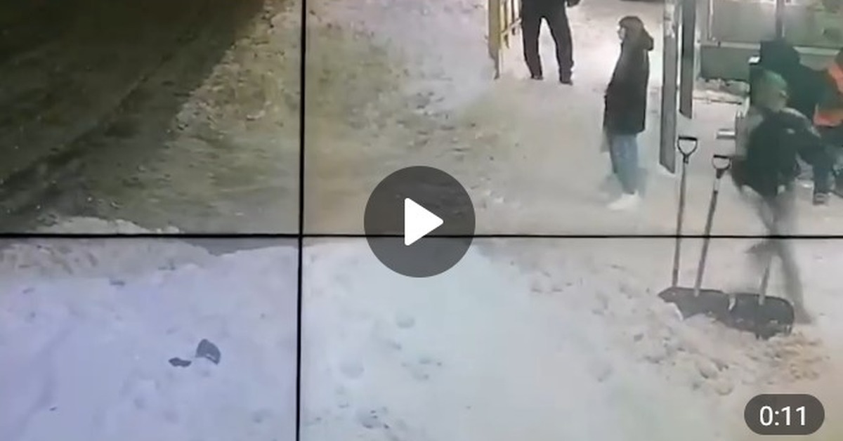 Пособник бурь и снега друг: в Воронеже задержали вора лопат