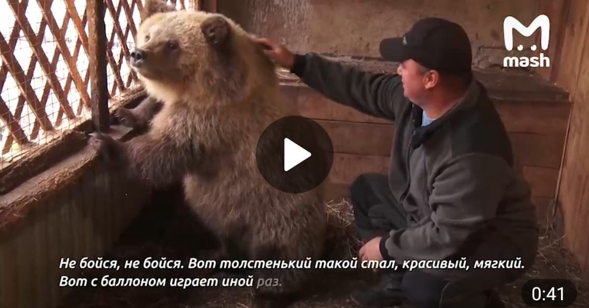 Воплощённый стереотип: россиянин спас и приютил медведя