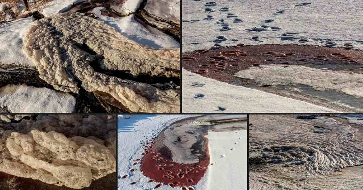 Фотограф обнаружил «кровавую реку» в Кузбассе