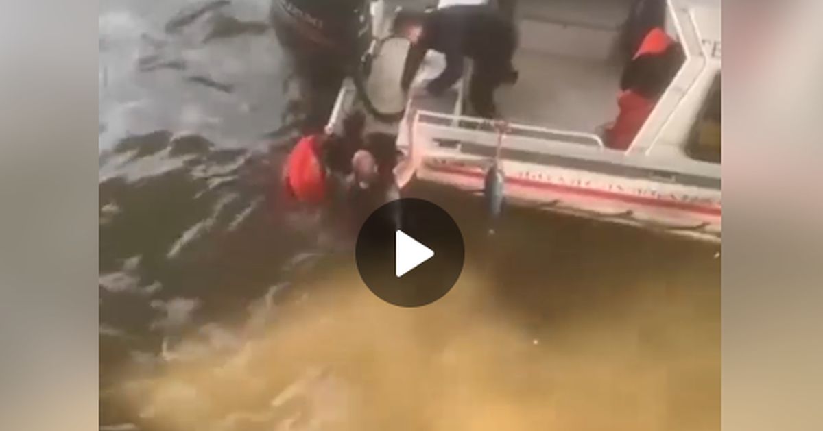 Спасена девушка, прыгнувшая в Москву-реку из-за неразделенной любви