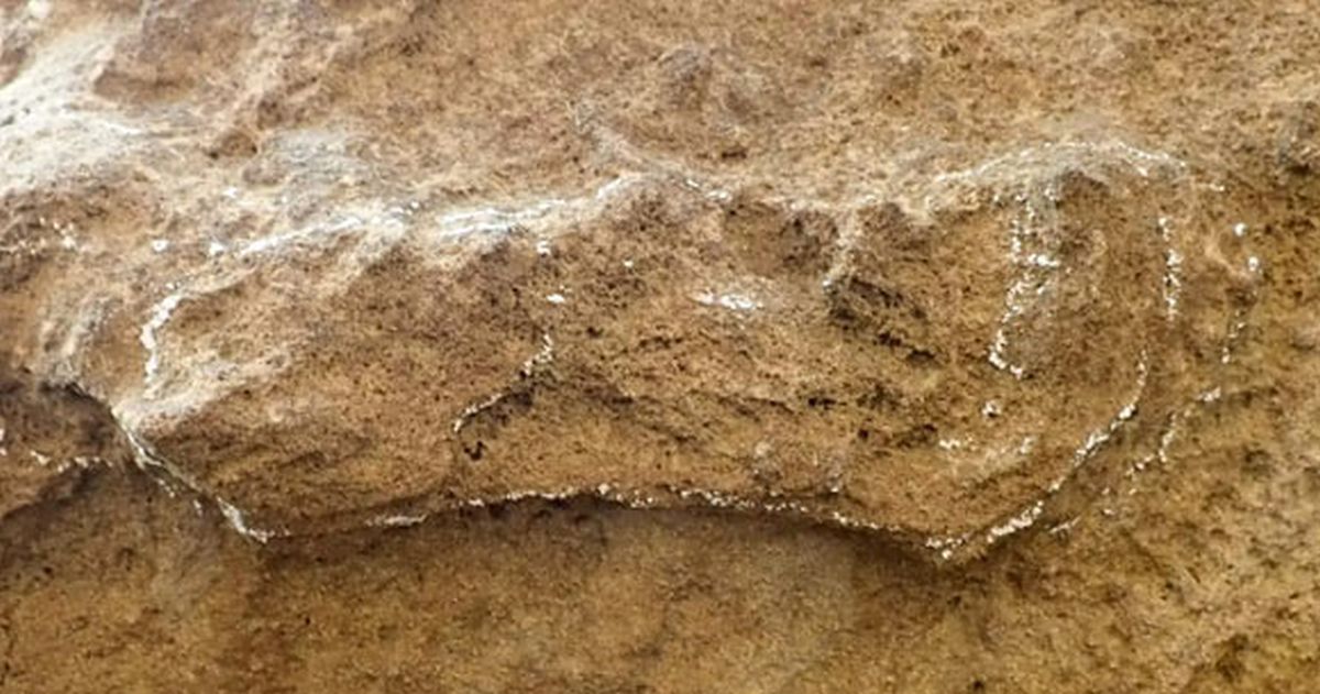 На юге Африки обнаружен древнейший след человека