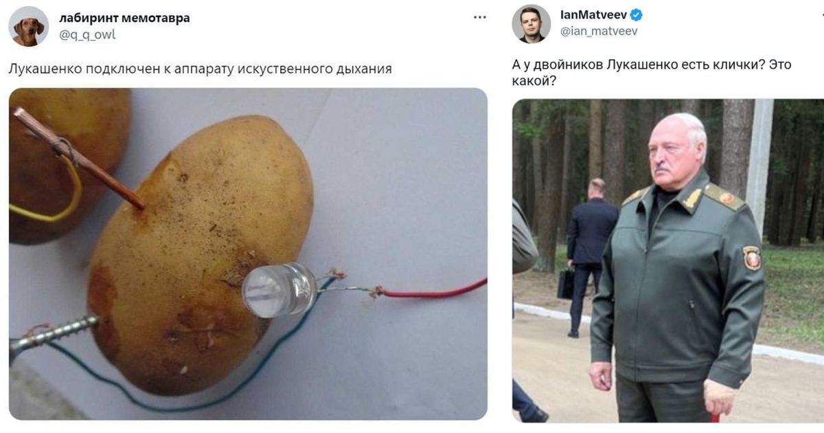 Белорусы юморят по поводу своего президента, успевшего пропасть и «воскреснуть»