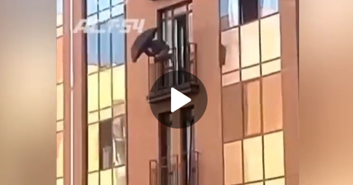 Неадекват сиганул с зонтиком с 8-го этажа в Новосибирске