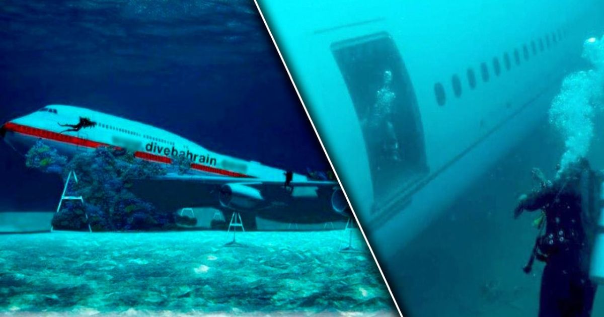 50 пассажиров могли спастись, но никто даже не пытался..