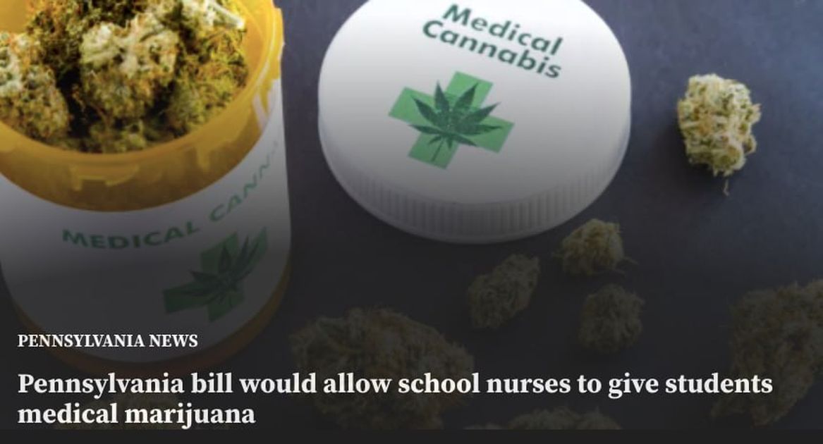 В американском штате могут разрешить употребление медицинской марихуаны в школах