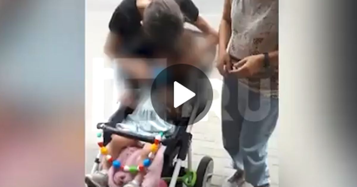 Собака искусала ребенка в коляске на глазах у родителей и собственной хозяйки