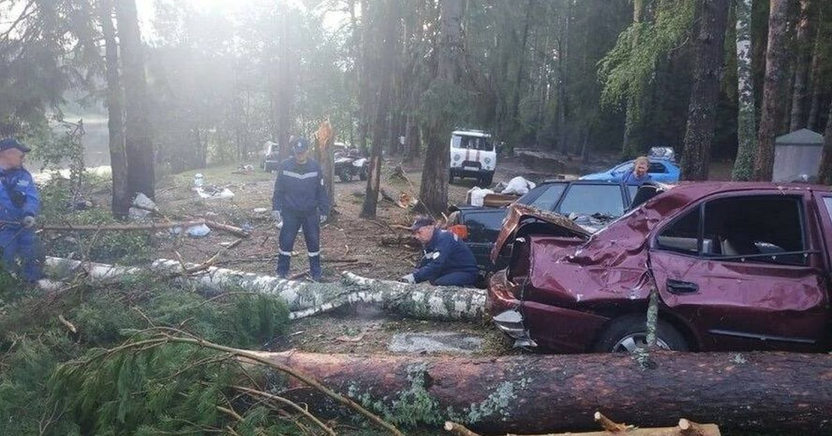 Ураган привел к гибели восьми туристов в палаточном лагере