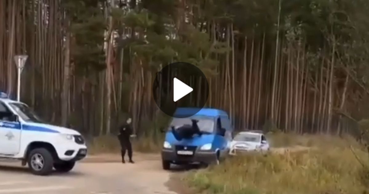 Завязка психотриллера: некий Сергей у деревни Погост сбивает полицейского и ударяется в бега