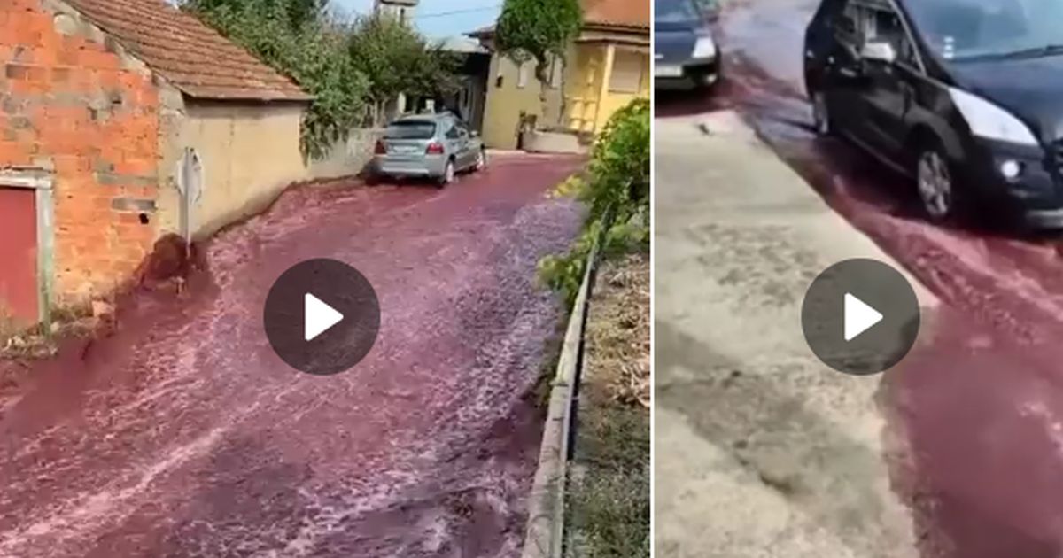 Португалия: реки красного вина разлились по улицам города
