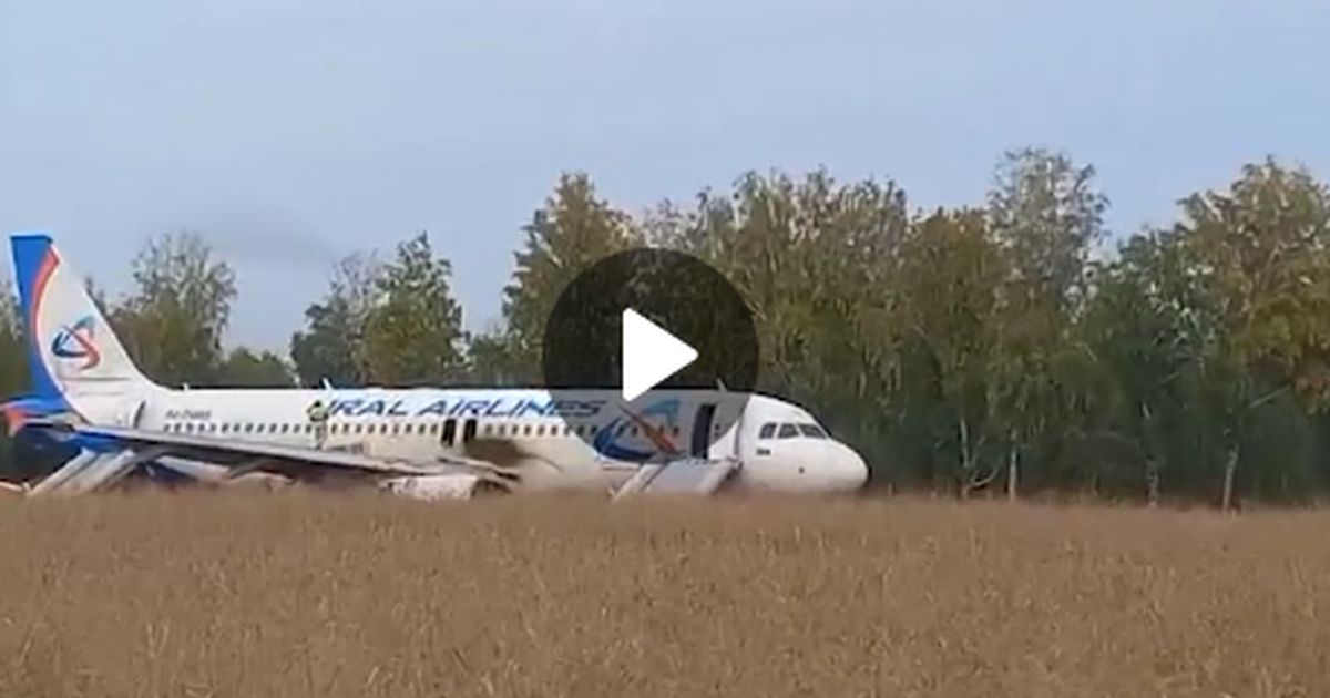 Самолет Уральских авиалиний был вынужден экстренно сесть посреди пшеничного поля в Сибири