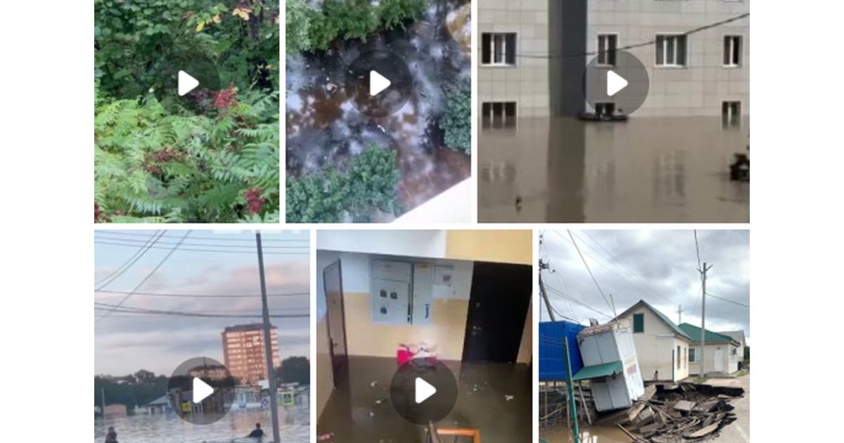 Приморье после потопа: страдают города, люди и тигры