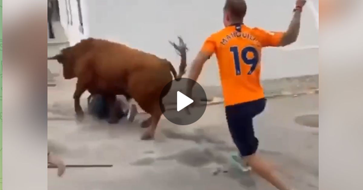 Осторожно, жестокое зрелище: нападение быка на юную испанку во время «бега быков»