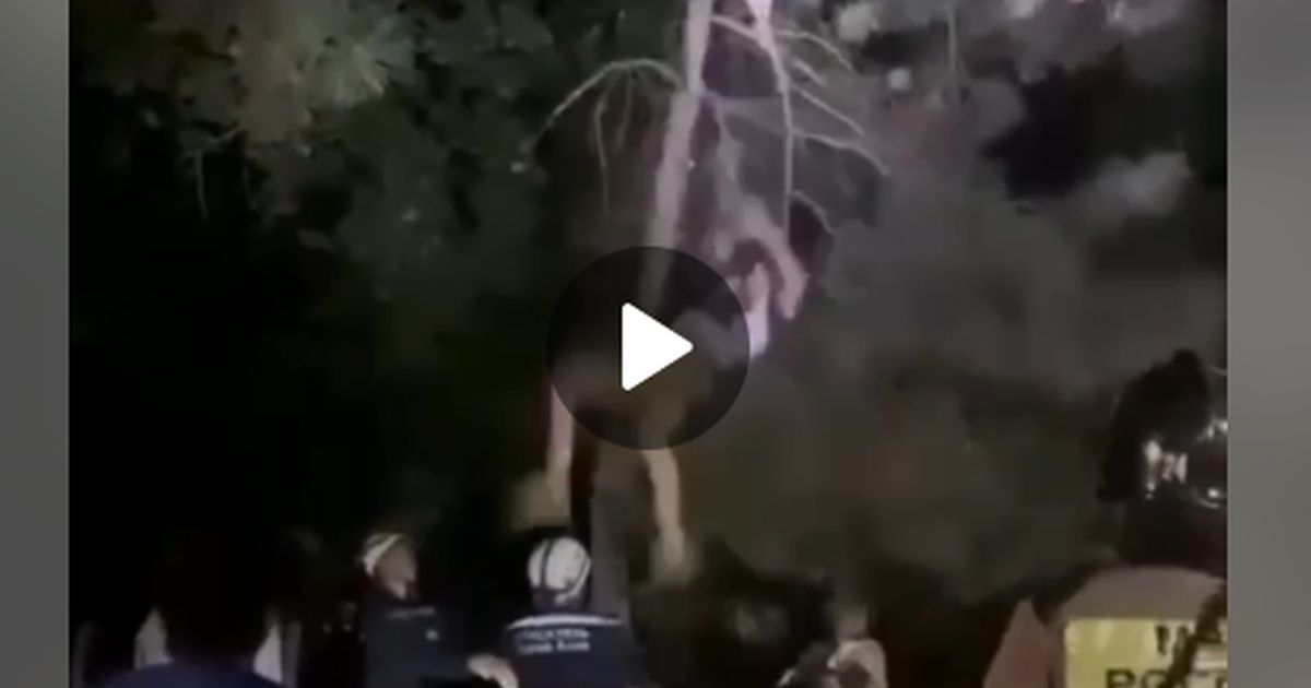 В Азове МЧС-никами спасен мужик, прыгавший среди ночи по деревьям