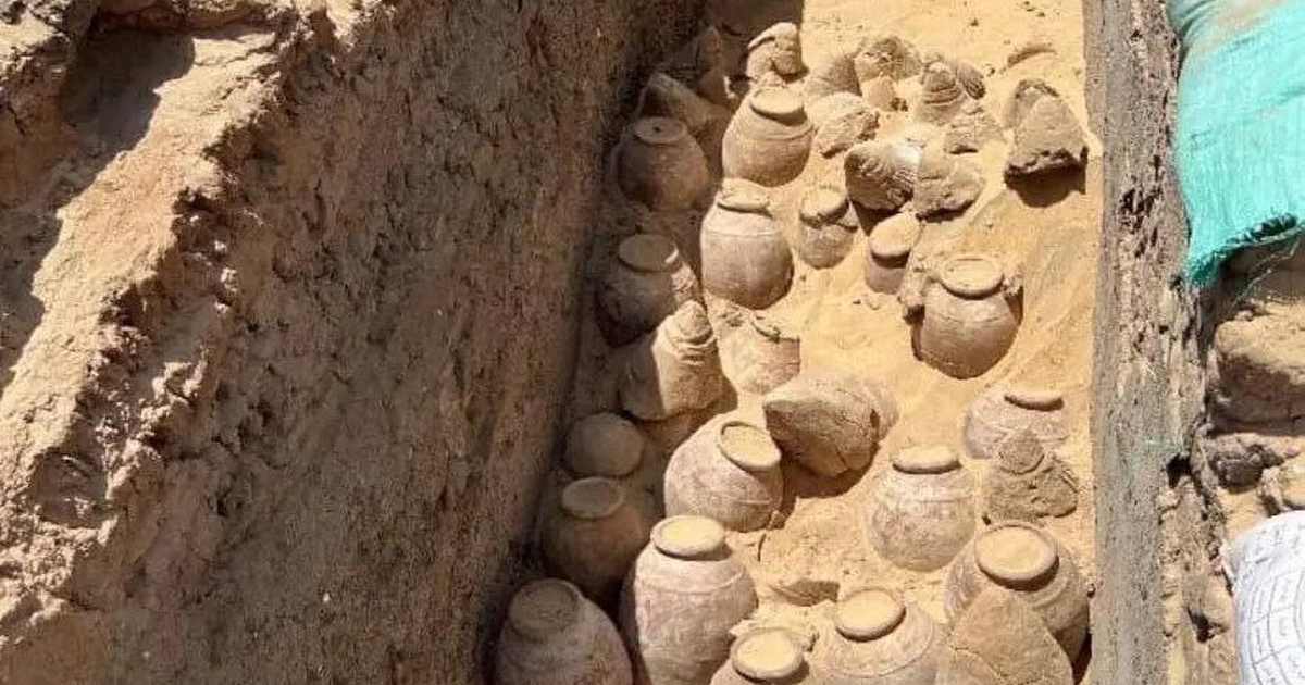 В Египте откопали вино пятитысячелетней выдержки