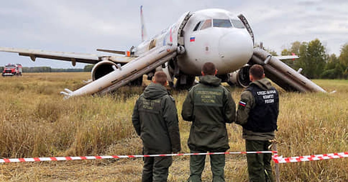 Посадка самолета в сибирском поле: Росавиация вынесла вердикт об ошибке пилотов