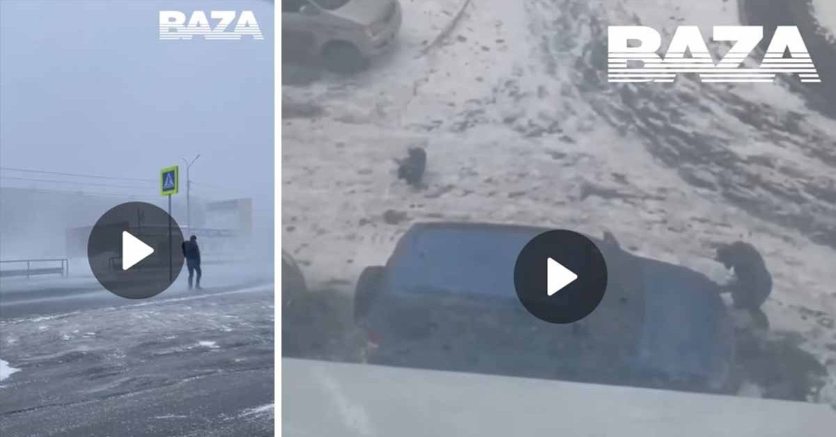 Ураганный ветер заглянул на Камчатку и сдул мужчину вместе с собачкой