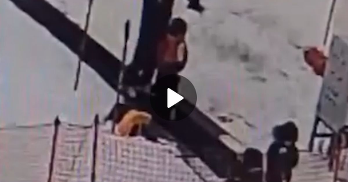 Трагедия на горнолыжке: шарф мальчугана зажевало механизмом подъемника