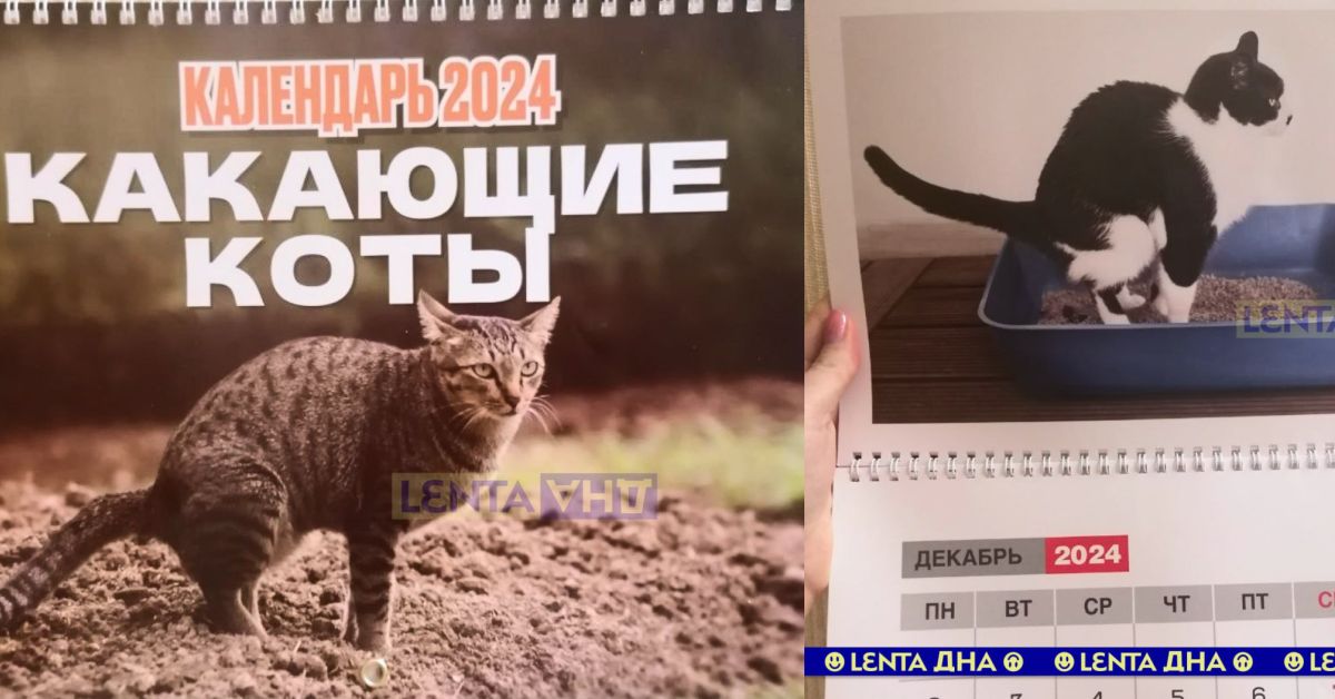Бездна креатива: в России выпущен календарь с какающими котами