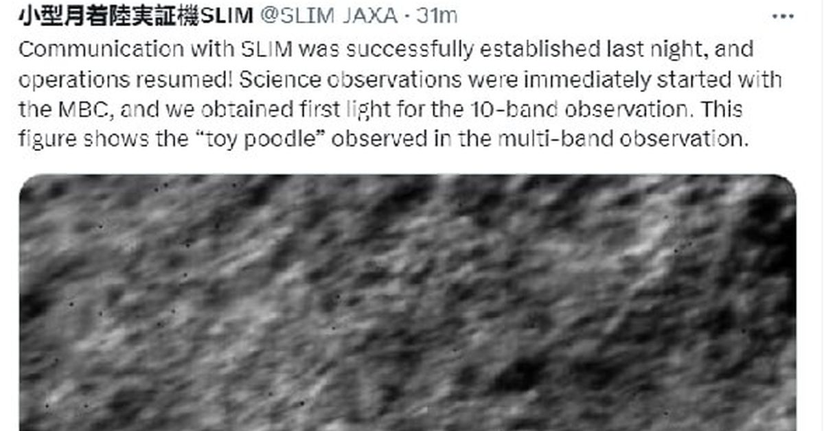Японский зонд SLIM, неудачно севший на Луну, пришел в себя и начал слать фоточки
