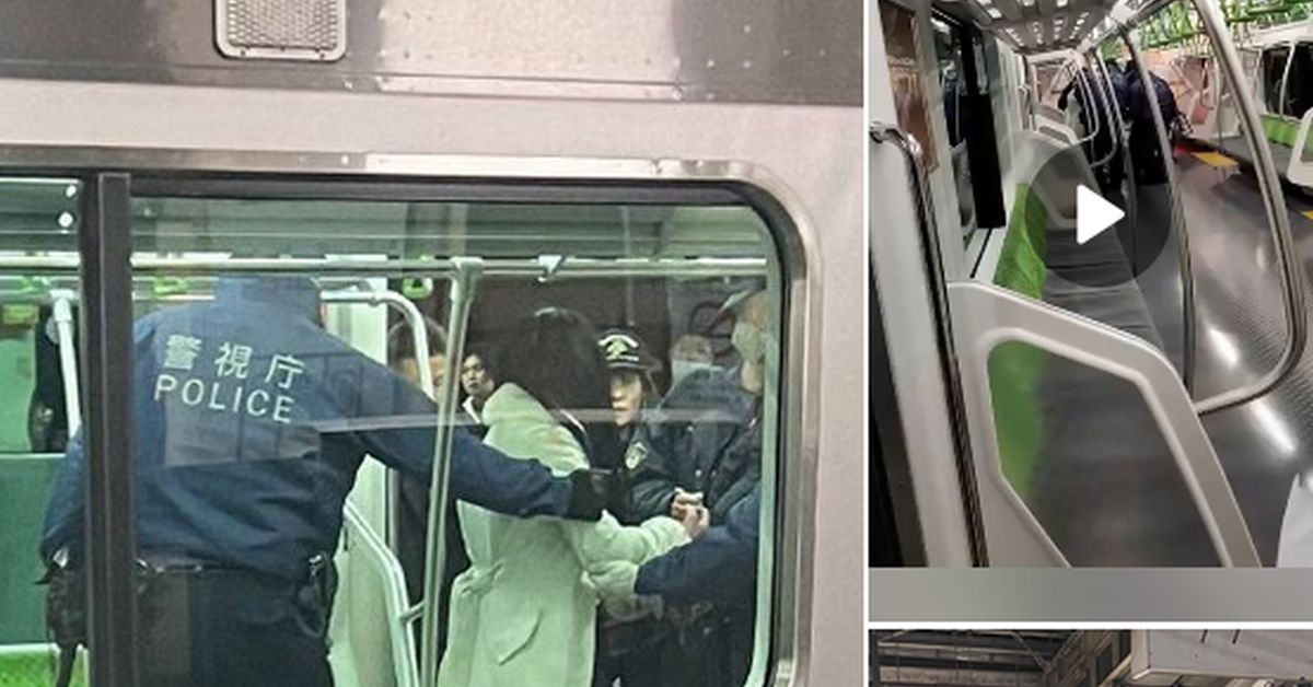 Токио: неизвестная тян накинулась с ножиком на сограждан в поезде
