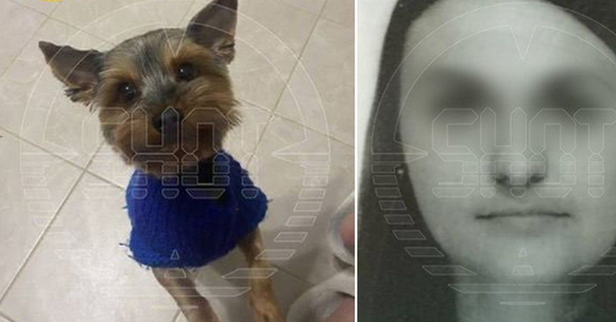 Интриги, скандалы, расследования: москвичка обвинила соседку в захвате заложника — любимого пёсика