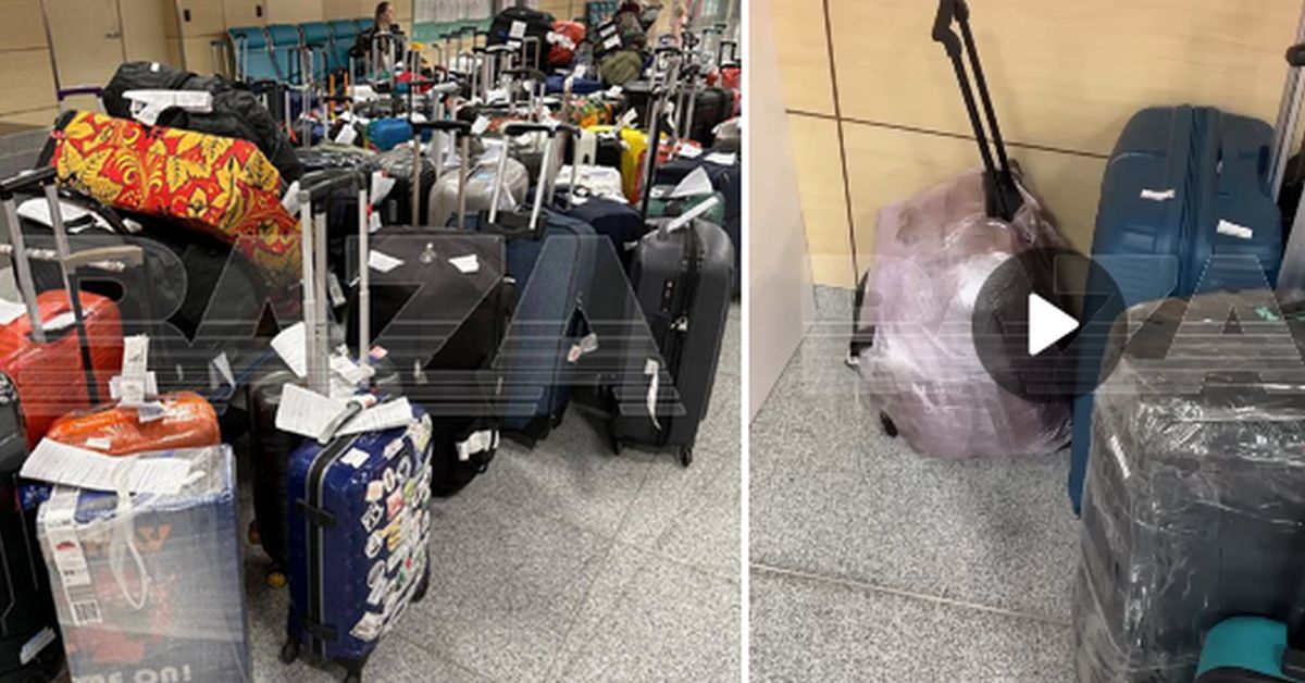Аэропорт Домодедово завален сотнями вонючих чемоданов из Дубая