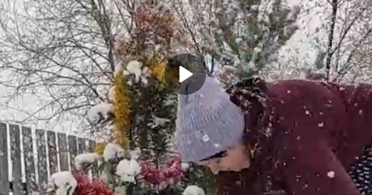 Май-2024: на Урале наряжают новогодние елки и лепят снеговиков