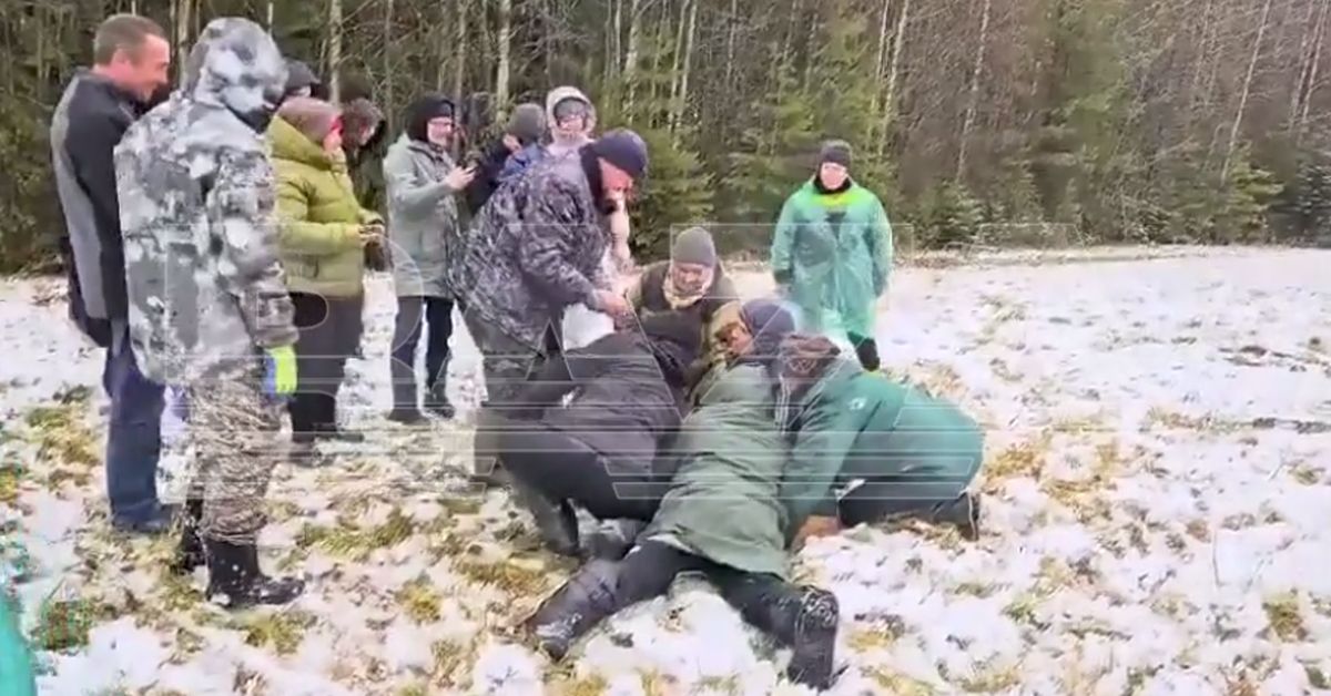 В лесах Коми наконец-то пойман беглый страус Вася