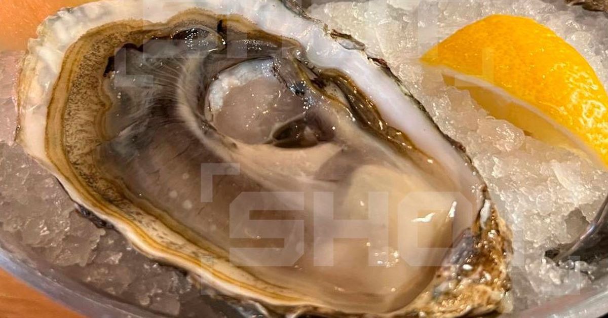 Екатеринбургские гурманы массово траванулись устрицами