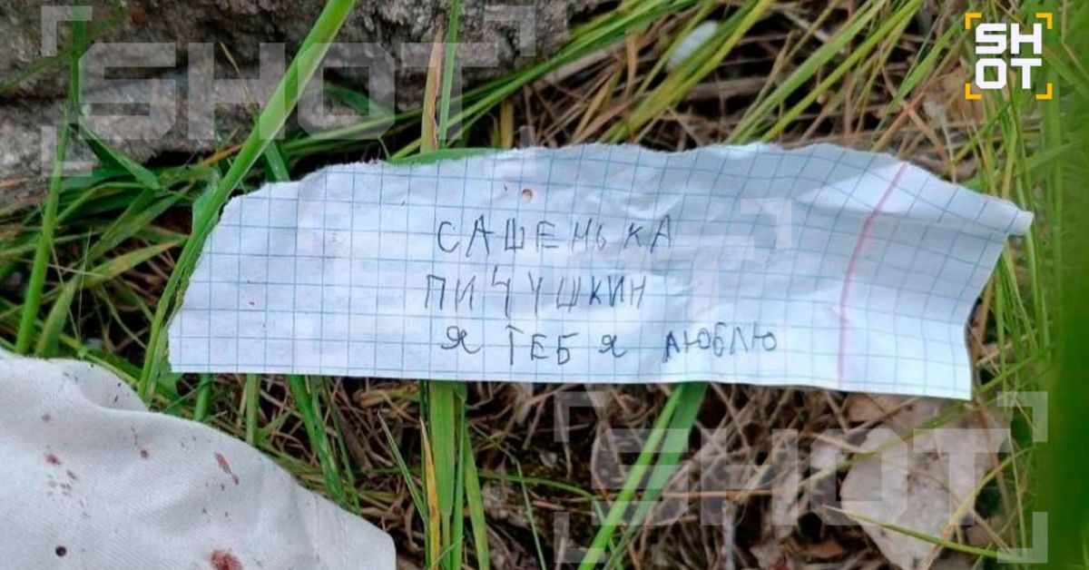 Раскрываем подробности дела о юной фанатке «Битцевского маньяка»