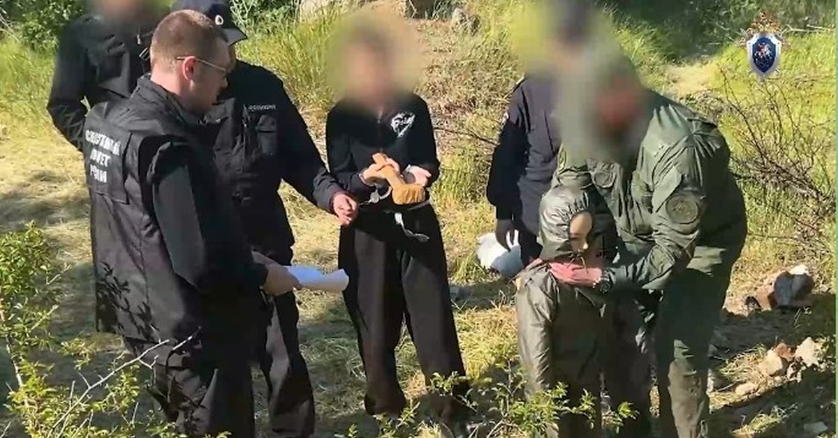 У юной последовательницы «Битцевского маньяка» подозревали шизофрению