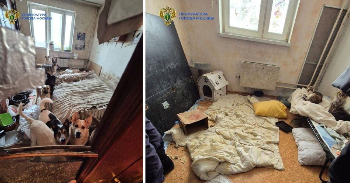 Москвичка организовала в своей квартире жуткий «хоспис» для животных