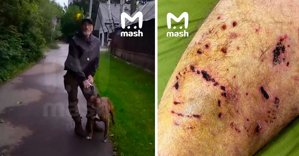 Неадекват из Москвы натравливает свою собаку на прохожих
