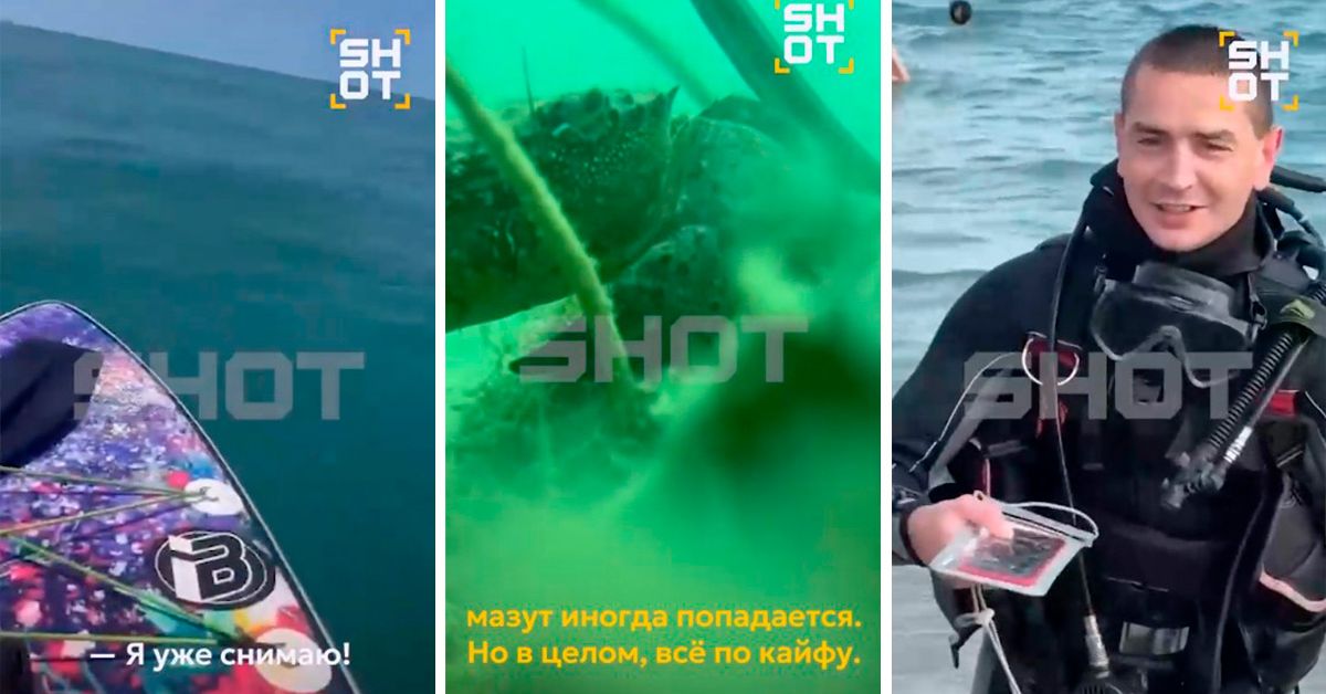 Туристка уронила iPhone в море и случайно превратила краба в видеоблогера