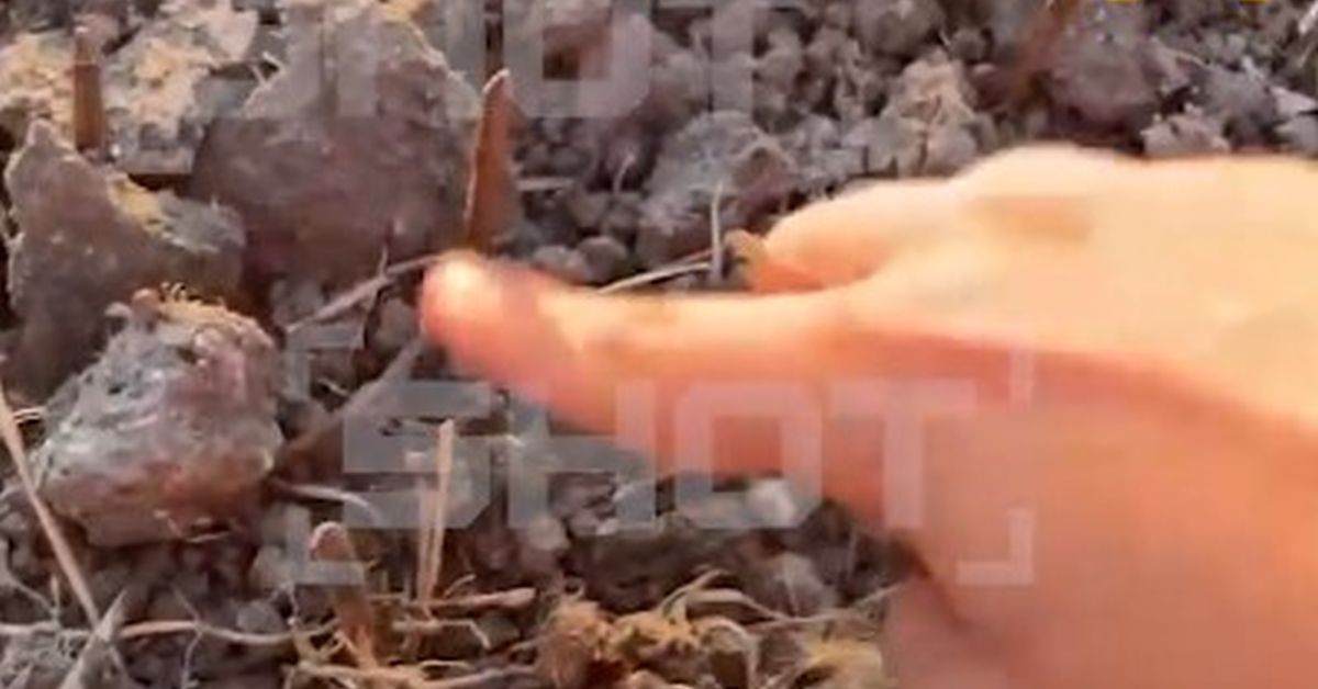 Девушка из Анапы наступила в ловушку из гвоздей во время пробежки