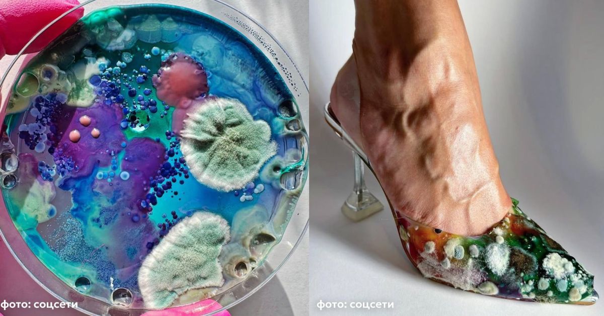 Новый писк женской моды в РФ: боевая раскраска собственной плесенью