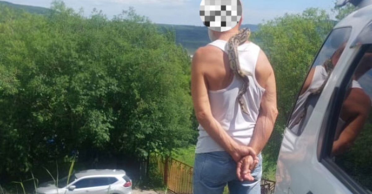 Будни ГИБДД: пьяный мужик со змеей на шее требует вернуть ему права