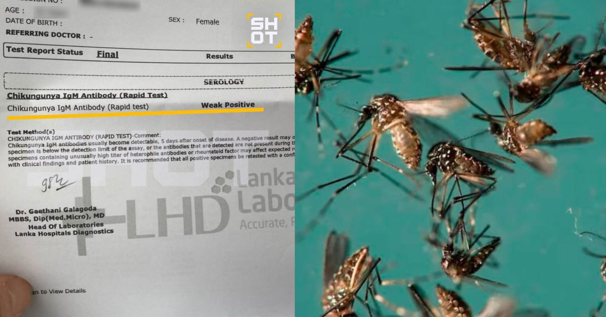 Чужой опыт: каково это, подхватить чикунгунью?