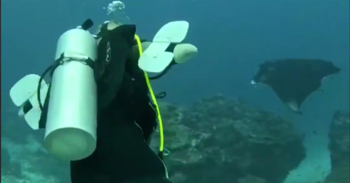 Ой, что это?! Инвалиды занимаются дайвингом!