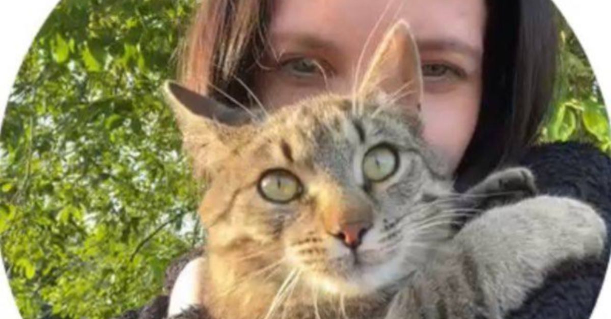 Юный россиянин, ты увидел как кто-то «зигует»? Не снимай видосик, не показывай никому!