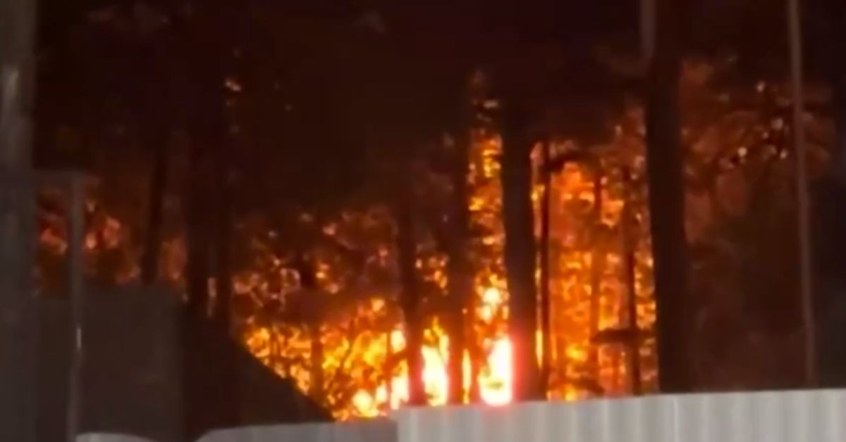 Жуть бессловесная: в Новосибирске горит зоопарк