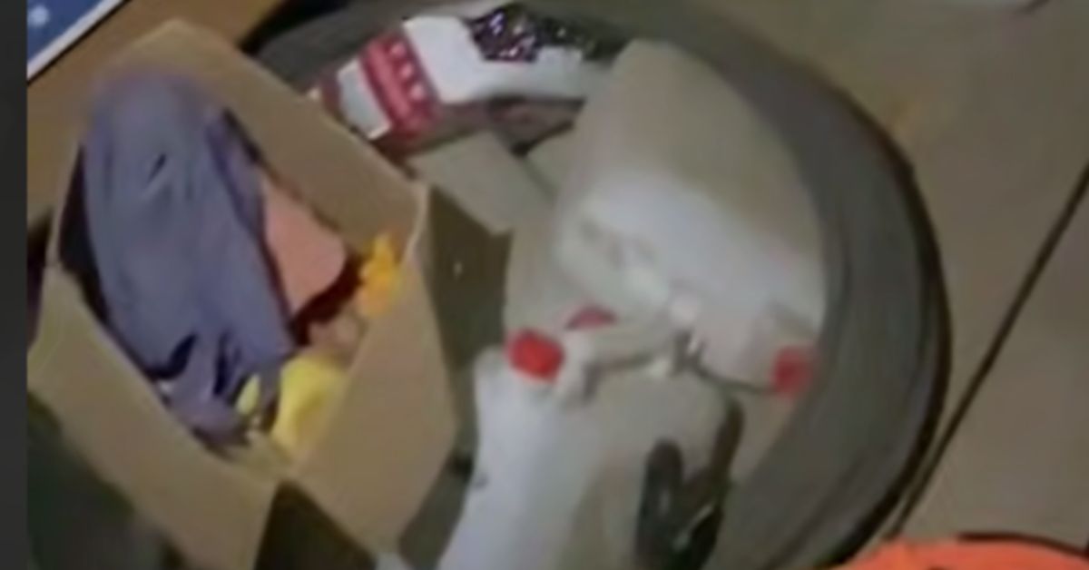 Минимум 19 трупов в одной деревне: вспышка отравлений паленкой в Ленобласти