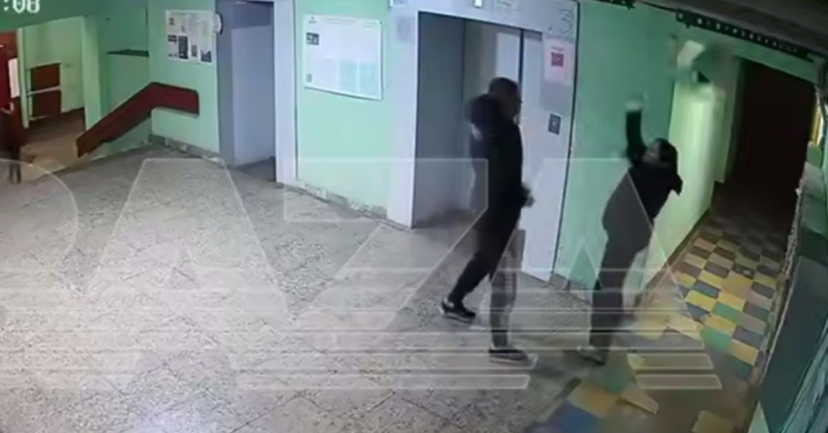 Ой, что это?! Жестокая расправа над собачкой в питерском подъезде