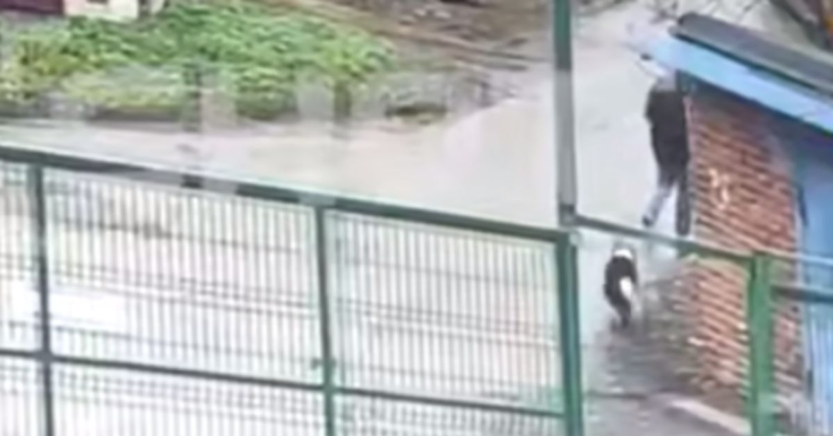 В Москве задержана парочка серийных похитителей собак