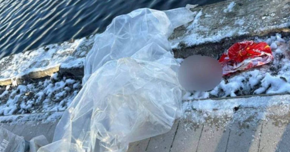 Жуть: голова младенца в рюкзаке обнаружена в московском пруду